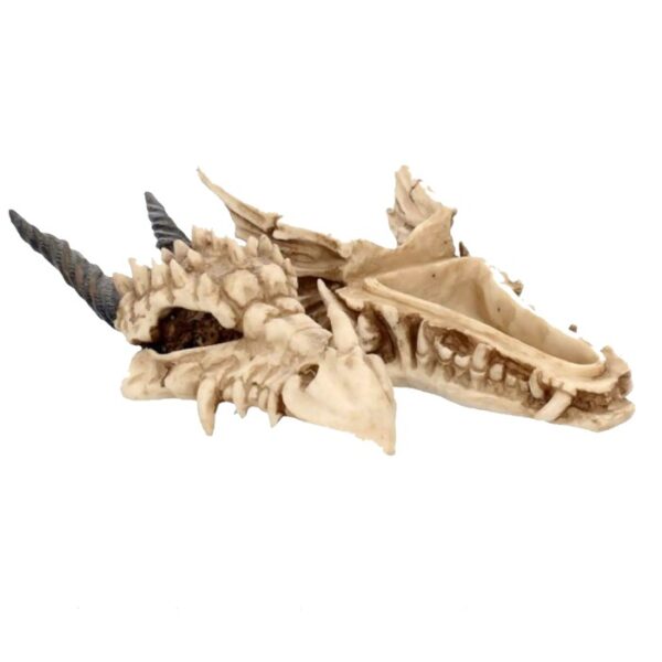 NEMESIS NOW - Dragon Skull - Image 2